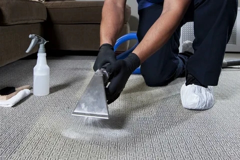The Benefits of Regular Carpet Cleaning for Long-Term Maintenance