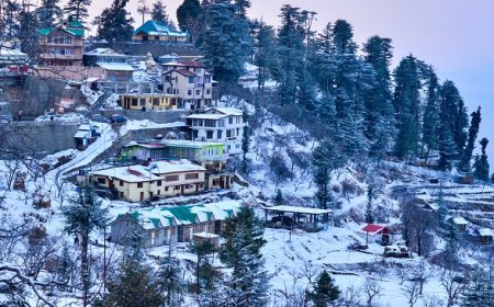 Explore Hills with a Perfect Chandigarh To Shimla Tour Package