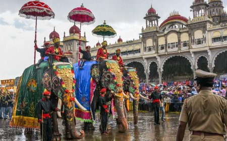 Discover the Best Karnataka Tour Packages for All Travelers