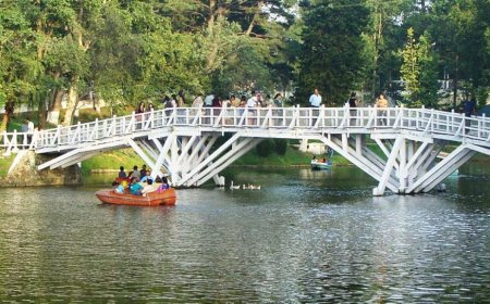Wards Lake Is a Peaceful and Beautiful Spot in Shillong City