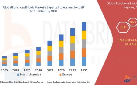 Functional Fluids Market: Size, Share, and Growth Forecast to 2030