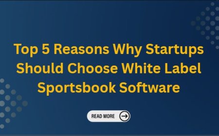 Top 5 Reasons Why Startups Should Choose White Label Sportsbook Software