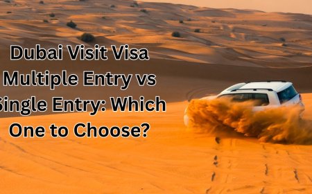 Dubai Visit Visa Multiple Entry vs Single Entry: Which One to Choose?