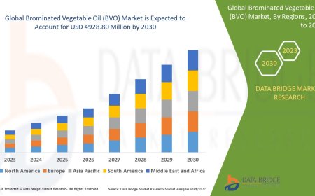 Brominated Vegetable Oil (BVO) Market Dynamics: Key Drivers and Restraints 2024 –2031