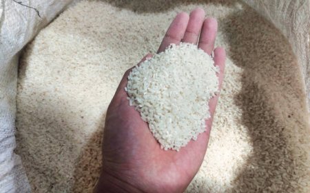 Top Rice Wholesalers for Bulk Supply and Quality Grains