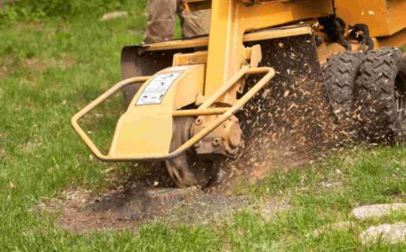 Stump Grinding: The Ultimate Guide to Removing Tree Stumps the Right Way