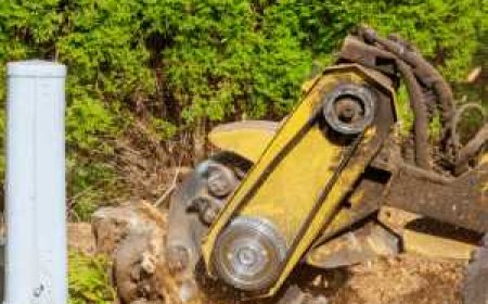 Stump Grinding: The Smart Way to Remove Tree Stumps From Your Yard