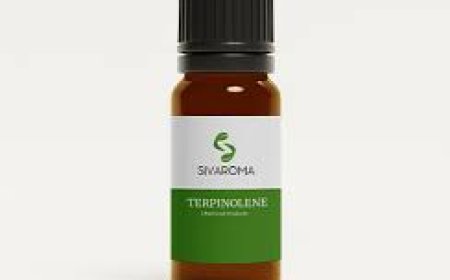 Top Aromatic Chemicals Manufacturers in India