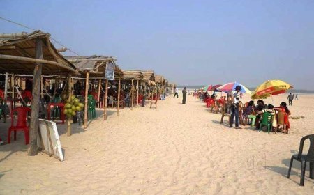 Explore the Serenity and Natural Beauty of Tajpur Beach Today