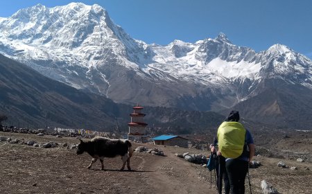 Hidden Treasure Trails of Manaslu Circuit Now Revealed