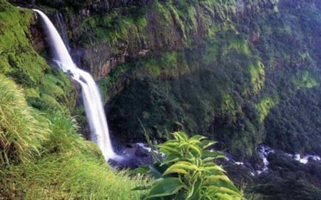 Escape into Nature’s Beauty at the Serene Dhobi Waterfall