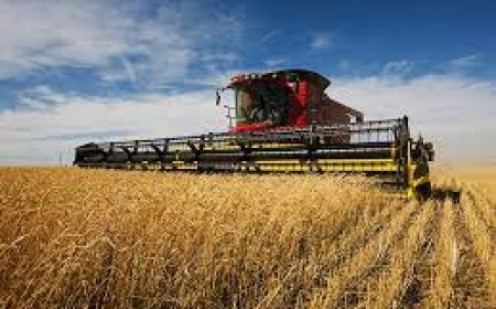 Agricultural Fuel Oil: Powering the Engines of Food Production