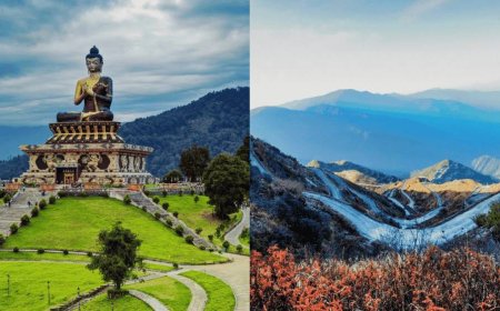 Darjeeling Diaries: Tales from the Queen of Hills