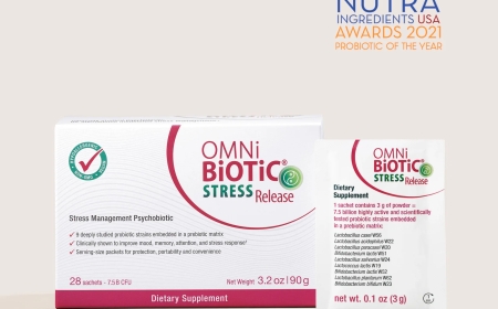 Why Prebiotic Supplements Are the Gut Health Essential You’re Probably Missing