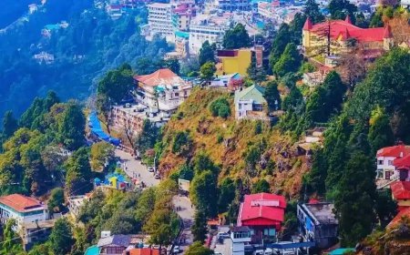 Nainital, Ranikhet & Kausani: Discover the Best of Kumaon Hills