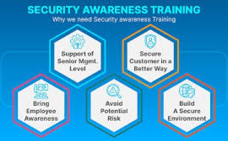 How Application Security Training Helps Prevent Costly Data Breaches