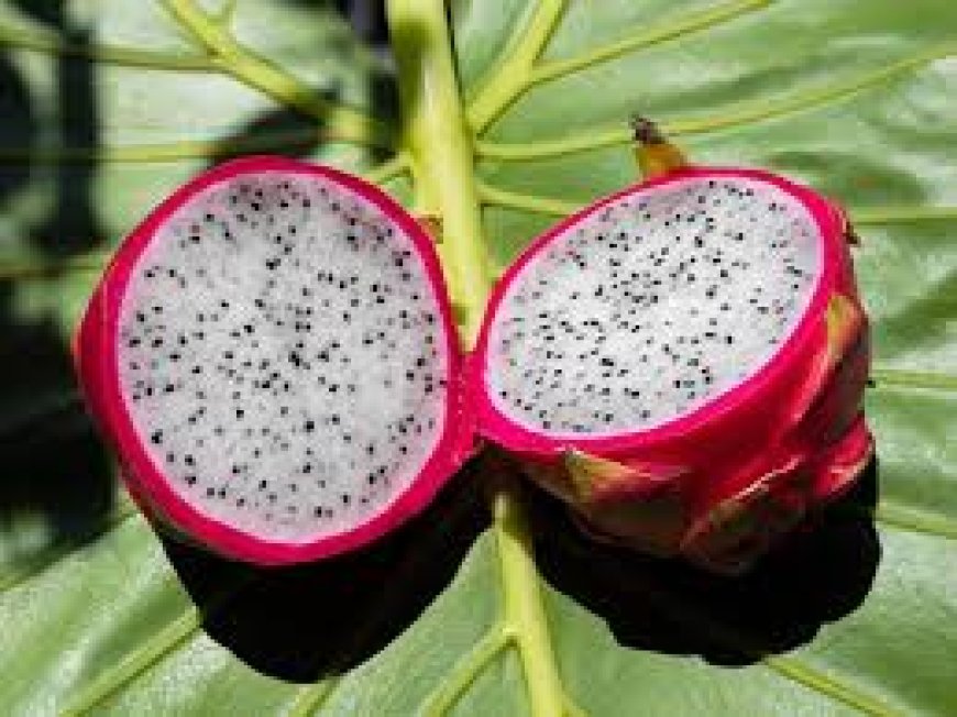 Top Health Benefits of Soursop You Need to Know