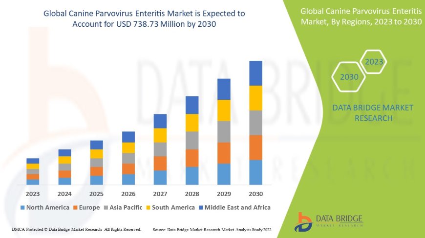 Canine Parvovirus Enteritis Market : Overview: Trends, Challenges, and Forecast 2025 –2032