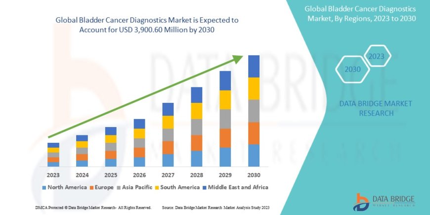 Global Bladder Cancer Diagnostics Market Scope: Growth, Share, Value, Size, and Analysis