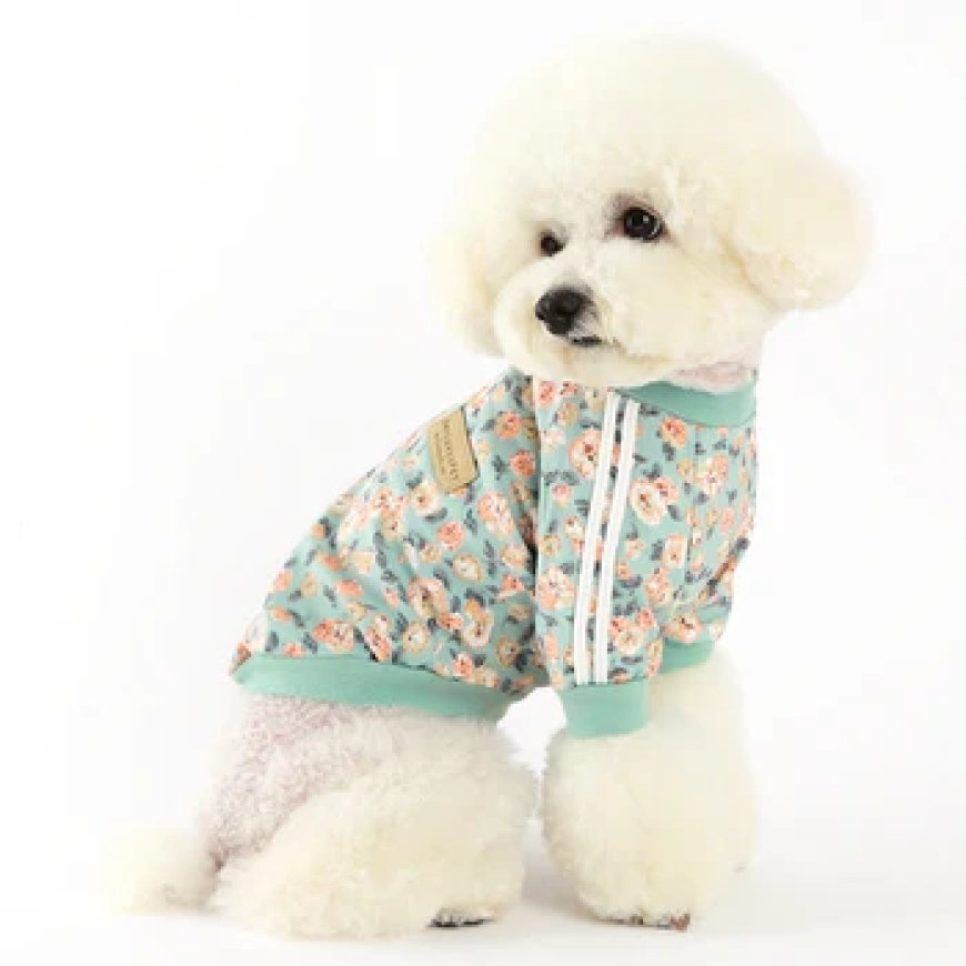 How to Choose the Right Pet Wear from a Reliable Pet Supplies Store