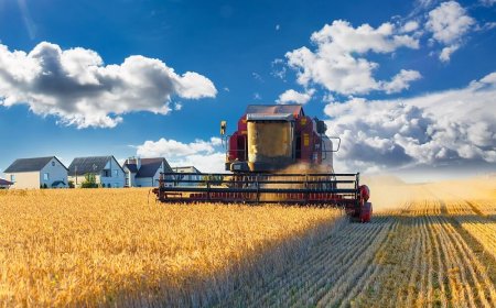 Agricultural Diesel Suppliers: Powering Modern Farming