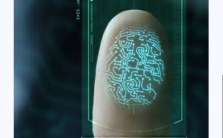 Enhance Digital Security with Face Liveness Detection API and Online Fingerprint Scanners