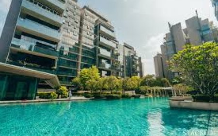 Should You Wait or Buy Property in 2025? What the Experts Say