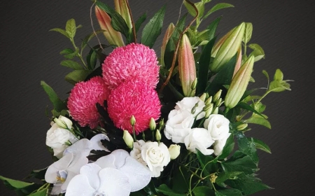 Modern Flower Arrangements to Brighten Bundoora Homes & Offices