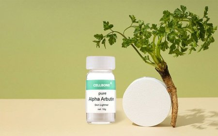 Your Post-Summer Skin Recovery with Alpha Arbutin Powder