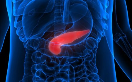 Cancer Immunotherapy Forecast 2030: Growth Trends, Key Players & Future Outlook | Amgen Inc., Astrazeneca, Bayer AG, Bristol-Myers Squi8.12, ELI Lilly and Company,