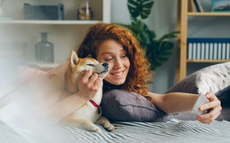 Step Into the World of Colour Trading Game Fun Now