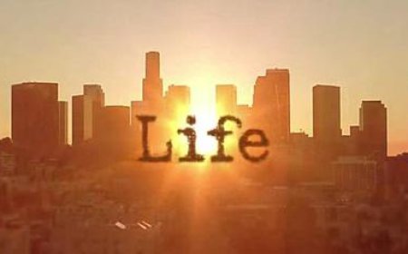 Mind and Body Harmony: Your Guide to Holistic Wellness