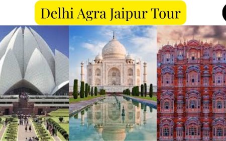 Delhi Agra Jaipur Tour: Experience Vibrant Indian Traditions