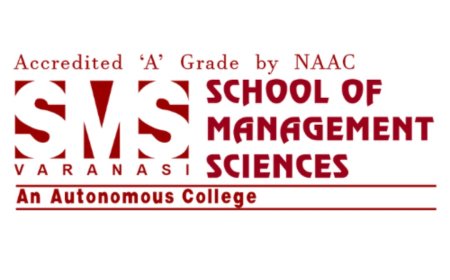 Executive MBA vs Regular MBA: Online vs On-Campus Options