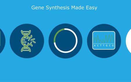 What Is Vector Synthesis and Why It Matters in Modern Biotechnology