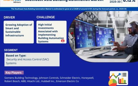 Southeast Asia Building Automation Market Size & Forecast 2025–2030: Trends and Growth Insights