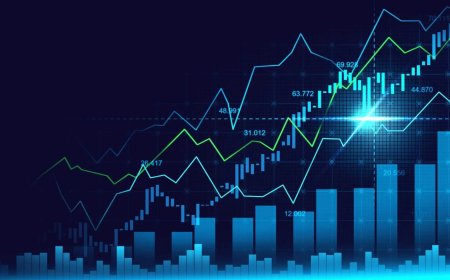 Exploring the Forex Grey Label : Your Gateway to Launching a Trading Business