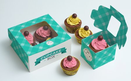 Custom Cupcake Boxes USA for Safe and Stylish Packaging