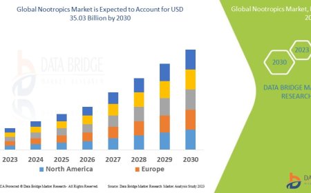 Brain Health Awareness Fuels Demand in the Global Nootropics Market