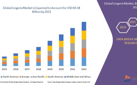 Lingerie Market Analysis On Size and Industry Demand 2032