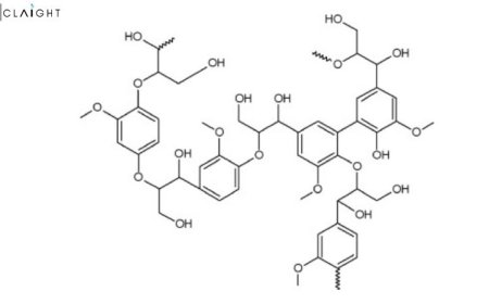 Global Lignin Market: Industry Trends, Growth Drivers and Forecast Outlook