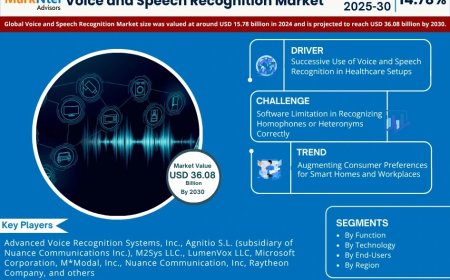 Voice and Speech Recognition Market Size & Forecast 2025–2030: Trends and Growth Insights