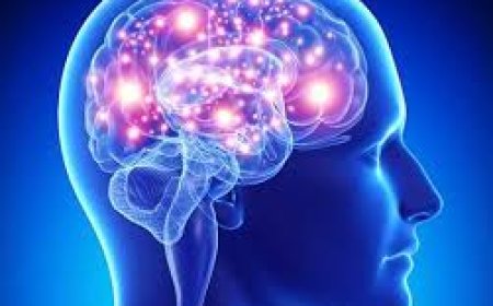 Best Neurology Hospital in Nashik for Stroke, Epilepsy & More