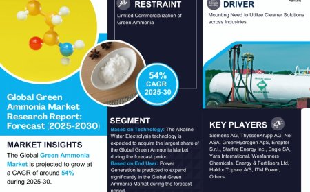Green Ammonia Market Size & Forecast 2025–2030: Trends and Growth Insights