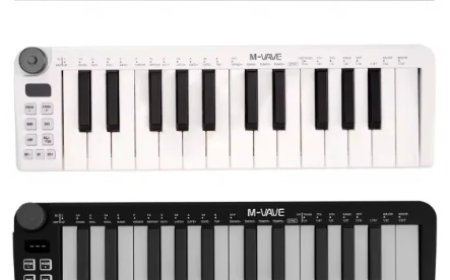 Explore the World of Musical Instruments with PUZB: Where Sound Meets Quality