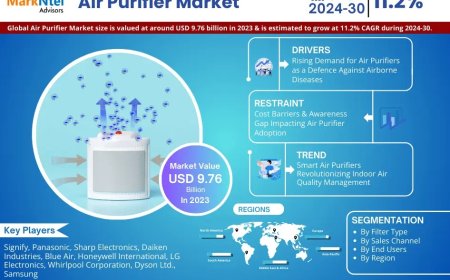 Air Purifier Market Size & Forecast 2024–2030: Trends and Growth Insights