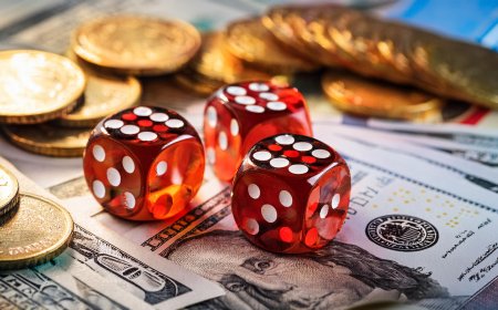 Top 5 Trusted Sites to Buy an Online Cricket ID Instantly