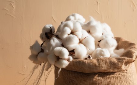 Cotton Price Index 2025: History, Index & Price Forecast