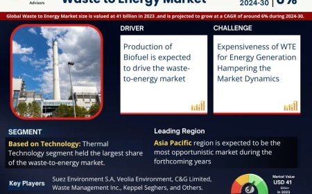Waste to Energy Market Size & Forecast 2024–2030: Trends and Growth Insights