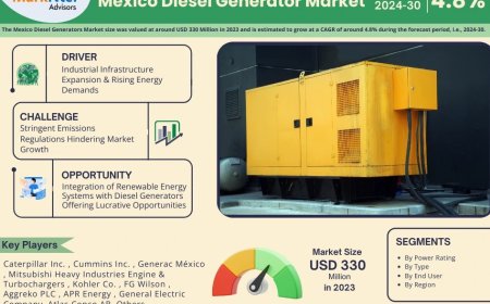 Mexico Diesel Generator Market Size & Forecast 2024–2030: Trends and Growth Insights